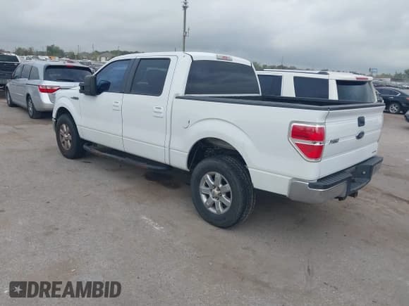 ✅ 2009 Ford F-150 XL • VIN: 1FTRW12879FA31755 • Лот: 43735445. Опубликован ранее на IAAI с пробегом 250 830 миль. Бесплатный доступ к архиву аукционных продаж из США и подробный отчёт об истории автомобиля на DreamBid. Изображение 3.