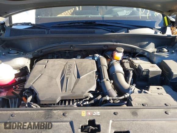 ✅ 2023 Hyundai Santa Fe Calligraphy • VIN: 5NMS54AL0PH578829 • Lot: 41630437. Listed on IAAI with 36,851 mi. Free auction sales archive from the USA and detailed vehicle history report at DreamBid. Image 10.