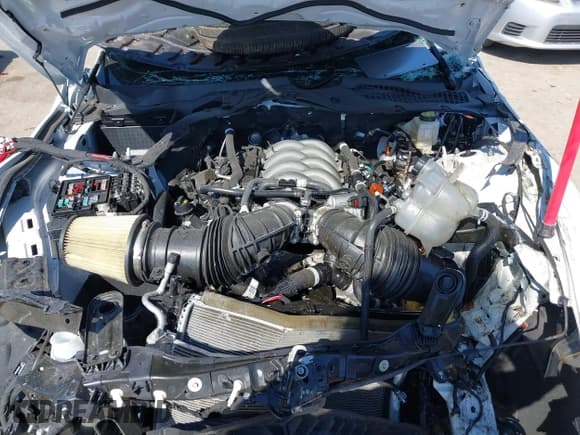 ✅ 2025 Ford Mustang GT • VIN: 1FA6P8CF5S5406291 • Lot: 43432863. Listed on IAAI with Not provided. Free auction sales archive from the USA and detailed vehicle history report at DreamBid. Image 10.