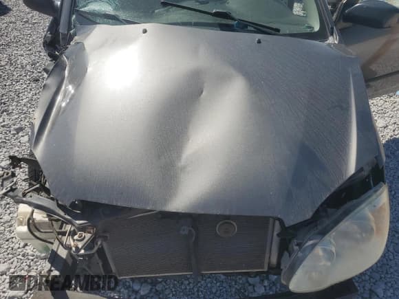 ✅ 2008 Toyota Corolla CE • VIN: 2T1BR32E78C910464 • Lot: 81137415. Wystawiony na Copart z przebiegiem 288 612 mil. Bezpłatny archiwum sprzedaży aukcyjnych z USA i szczegółowy raport historii pojazdu na DreamBid. Zdjęcie 11.