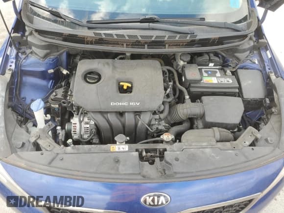 ✅ 2017 Kia Forte S • VIN: 3KPFL4A7XHE035586 • Lot: 81898265. Listed on Copart with 133,019 mi. Free auction sales archive from the USA and detailed vehicle history report at DreamBid. Image 11.