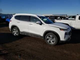 ✅ 2023 Hyundai Santa Fe SEL • VIN: 5NMS2DAJ4PH509469 • Лот: 39983403. Опубликован ранее на Copart с пробегом 3 371 миль. Бесплатный доступ к архиву аукционных продаж из США и подробный отчёт об истории автомобиля на DreamBid. Изображение 4.