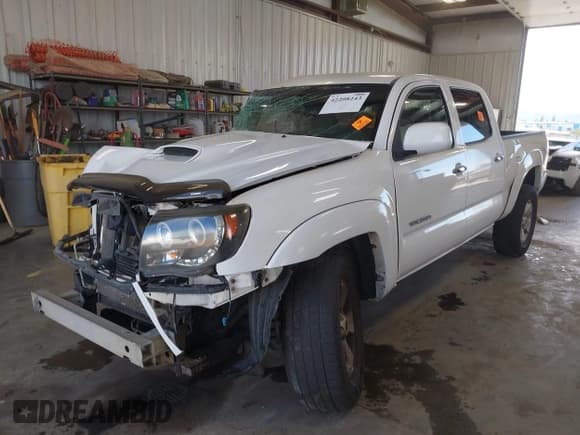 ✅ 2009 Toyota Tacoma • VIN: 5TEMU52N29Z666916 • Lot: 42208243. Listed on IAAI with Not provided. Free auction sales archive from the USA and detailed vehicle history report at DreamBid. Image 17.