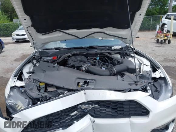 ✅ 2017 Ford Mustang V6 • VIN: 1FATP8EM8H5313529 • Lot: 42718489. Listed on IAAI with 32,926 mi. Free auction sales archive from the USA and detailed vehicle history report at DreamBid. Image 10.