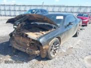 ✅ 2020 Dodge Challenger R/T Scat Pack • VIN: 2C3CDZFJ8LH156880 • Lot: 42771844. Listed on IAAI with 55,842 mi. Free auction sales archive from the USA and detailed vehicle history report at DreamBid. Image 6.