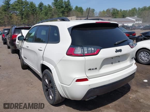 ✅ 2019 Jeep Cherokee Limited • VIN: 1C4PJMDX5KD451379 • Lot: 42073009. Listed on IAAI with Not provided. Free auction sales archive from the USA and detailed vehicle history report at DreamBid. Image 13.