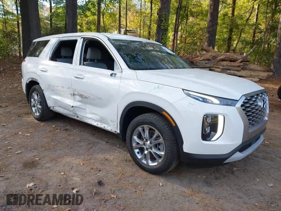 ✅ 2022 Hyundai Palisade SE • VIN: KM8R14HE0NU393473 • Лот: 43492154. Опубликован ранее на IAAI с пробегом 78 299 миль. Бесплатный доступ к архиву аукционных продаж из США и подробный отчёт об истории автомобиля на DreamBid. Изображение 1.
