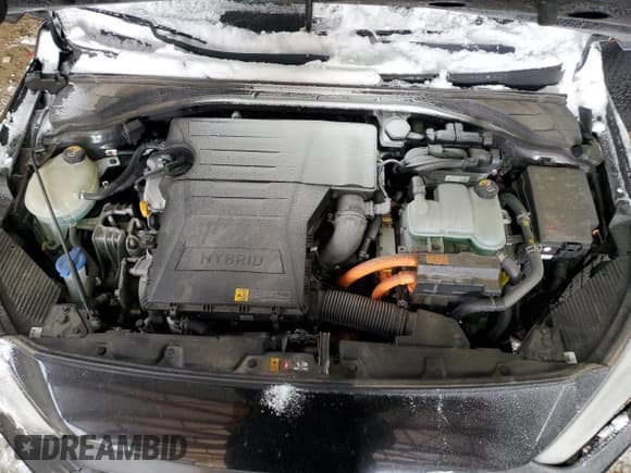 ✅ 2017 Hyundai Ioniq Blue • VIN: KMHC65LC3HU022329 • Lot: 38595244. Wystawiony na Copart z przebiegiem 116 686 mil. Bezpłatny archiwum sprzedaży aukcyjnych z USA i szczegółowy raport historii pojazdu na DreamBid. Zdjęcie 11.