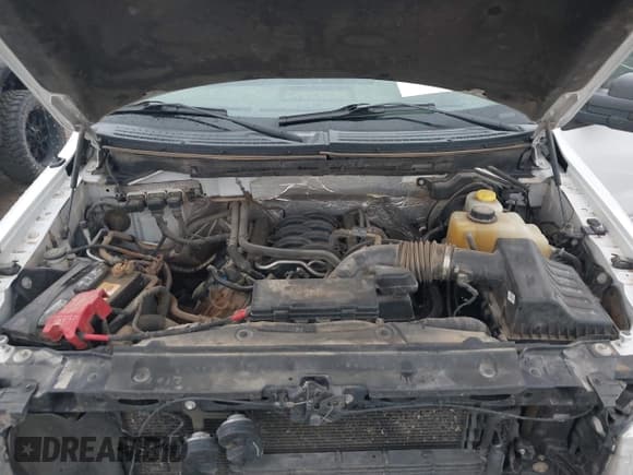 ✅ 2014 Ford F-150 XL • VIN: 1FTFX1EF0EKD45971 • Lot: 41952029. Wystawiony na IAAI z przebiegiem 168 634 mil. Bezpłatny archiwum sprzedaży aukcyjnych z USA i szczegółowy raport historii pojazdu na DreamBid. Zdjęcie 10.