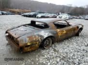 ✅ 1981 Pontiac Firebird • VIN: 1G2AW87W4BN120809 • Lot: 45333155. Wystawiony na Copart z przebiegiem Nie podano. Bezpłatny archiwum sprzedaży aukcyjnych z USA i szczegółowy raport historii pojazdu na DreamBid. Zdjęcie 3.