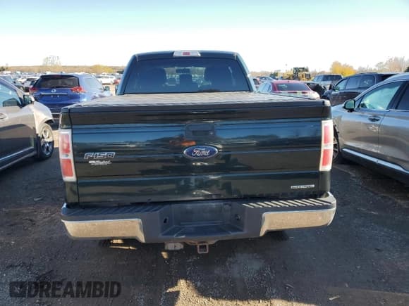 ✅ 2013 Ford F-150 XL • VIN: 1FTEX1EM0DFC07994 • Lot: 85668095. Listed on Copart with 198,794 mi. Free auction sales archive from the USA and detailed vehicle history report at DreamBid. Image 6.