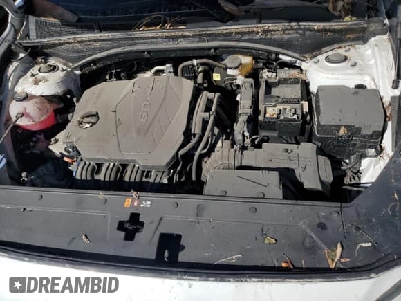 ✅ 2022 Hyundai Santa Fe SEL • VIN: 5NMS34AJ1NH425393 • Lot: 73876084. Wystawiony na Copart z przebiegiem Nie podano. Bezpłatny archiwum sprzedaży aukcyjnych z USA i szczegółowy raport historii pojazdu na DreamBid. Zdjęcie 12.