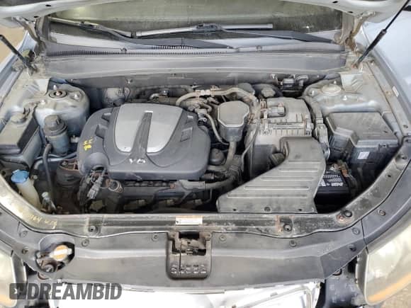 2010 Hyundai Santa Fe SE with VIN 5NMSH4AG9AH405490, listed as a Copart auction lot 69792265 with 174,390 mi miles and Salvage title. Bid and sale history available at DreamBid. Image 12.