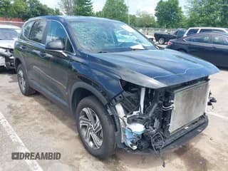 ✅ 2021 Hyundai Santa Fe SE • VIN: 5NMS1DAJ0MH318582 • Lot: 42681443. Listed on IAAI with 94,808 mi. Free auction sales archive from the USA and detailed vehicle history report at DreamBid. Image 1.
