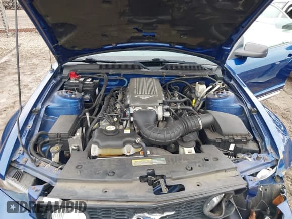 ✅ 2009 Ford Mustang GT • VIN: 1ZVHT82HX95119781 • Лот: 41482288. Опубликован ранее на IAAI с пробегом 70 757 миль. Бесплатный доступ к архиву аукционных продаж из США и подробный отчёт об истории автомобиля на DreamBid. Изображение 10.