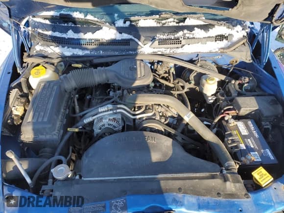 ✅ 1999 Dodge Dakota SLT • VIN: 1B7GL22X8XS205964 • Lot: 41640745. Wystawiony na Copart z przebiegiem 176 380 mil. Bezpłatny archiwum sprzedaży aukcyjnych z USA i szczegółowy raport historii pojazdu na DreamBid. Zdjęcie 11.