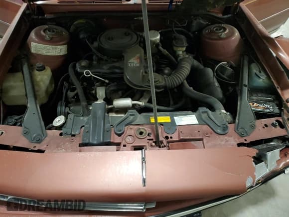 ✅ 1986 Buick Century Limited • VIN: 1G4AL19R1G6480068 • Лот: 90778295. Опубликован ранее на Copart с пробегом 87 126 миль. Бесплатный доступ к архиву аукционных продаж из США и подробный отчёт об истории автомобиля на DreamBid. Изображение 11.