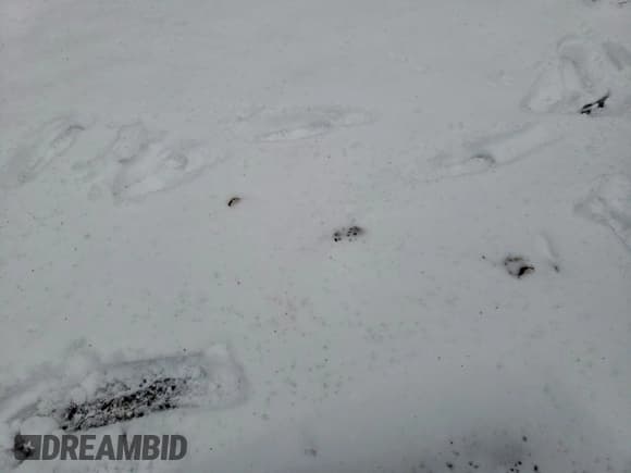 ✅ 2008 Ford F-350 XL • VIN: 1FTWW31R68ED43790 • Lot: 93474795. Listed on Copart with Not provided. Free auction sales archive from the USA and detailed vehicle history report at DreamBid. Image 11.