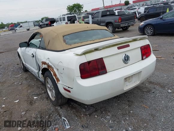 ✅ 2006 Ford Mustang Standard • VIN: 1ZVFT84N365218352 • Lot: 42437271. Listed on IAAI with 203,265 mi. Free auction sales archive from the USA and detailed vehicle history report at DreamBid. Image 3.