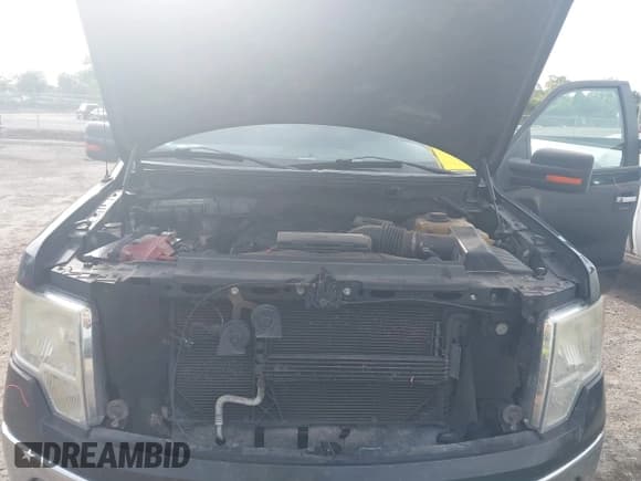 ✅ 2013 Ford F-150 XL • VIN: 1FTEX1CM1DFA35378 • Lot: 42504522. Listed on IAAI with 204,858 mi. Free auction sales archive from the USA and detailed vehicle history report at DreamBid. Image 10.