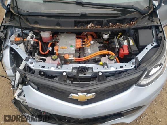 ✅ 2017 Chevrolet Bolt EV Premier • VIN: 1G1FX6S02H4178799 • Lot: 55798054. Wystawiony na Copart z przebiegiem 115 841 mil. Bezpłatny archiwum sprzedaży aukcyjnych z USA i szczegółowy raport historii pojazdu na DreamBid. Zdjęcie 11.
