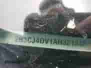 2010 Dodge Challenger SE z VIN 2B3CJ4DV1AH321342, wystawiony jako Copart lot #67499744 z przebiegiem 129 834 mil mil oraz Szkoda całkowita • Salvage title. Historia ofert i sprzedaży dostępna na DreamBid. Obrazek 12.