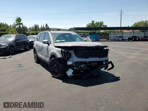 ✅ 2025 Kia Telluride EX X-Line • VIN: 5XYP3DGC7SG584973 • Lot: 68708095. Listed on Copart with 6,906 mi. Free auction sales archive from the USA and detailed vehicle history report at DreamBid. Image 14.