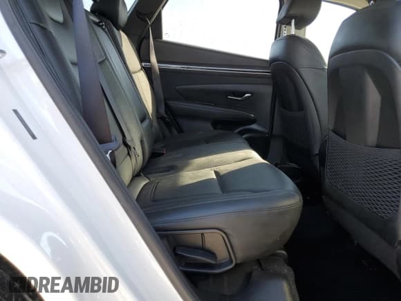 ✅ 2023 Hyundai Tucson Limited • VIN: 5NMJE3AE9PH191994 • Lot: 74843114. Wystawiony na Copart z przebiegiem 47 766 mil. Bezpłatny archiwum sprzedaży aukcyjnych z USA i szczegółowy raport historii pojazdu na DreamBid. Zdjęcie 11.