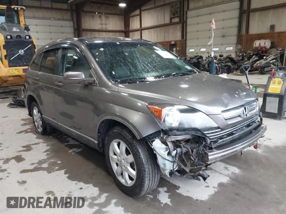 ✅ 2009 Honda CR-V EX-L • VIN: 5J6RE48729L056027 • Lot: 43572081. Wystawiony na IAAI z przebiegiem 121 627 mil. Bezpłatny archiwum sprzedaży aukcyjnych z USA i szczegółowy raport historii pojazdu na DreamBid. Zdjęcie 1.