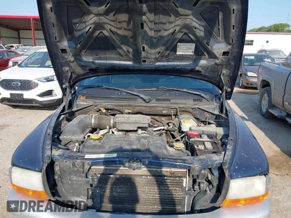 ✅ 2004 Dodge Dakota SLT • VIN: 1D7HG48N14S610012 • Lot: 39853794. Wystawiony na IAAI z przebiegiem 158 998 mil. Bezpłatny archiwum sprzedaży aukcyjnych z USA i szczegółowy raport historii pojazdu na DreamBid. Zdjęcie 10.