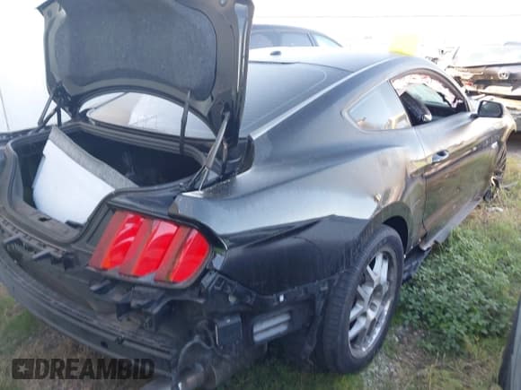 ✅ 2017 Ford Mustang GT • VIN: 1FA6P8CF2H5277824 • Lot: 43189021. Wystawiony na IAAI z przebiegiem 33 174 mil. Bezpłatny archiwum sprzedaży aukcyjnych z USA i szczegółowy raport historii pojazdu na DreamBid. Zdjęcie 4.