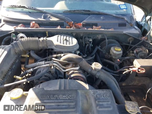 ✅ 2000 Dodge Dakota • VIN: 1B7GL22X5YS662653 • Lot: 41297493. Wystawiony na IAAI z przebiegiem 260 328 mil. Bezpłatny archiwum sprzedaży aukcyjnych z USA i szczegółowy raport historii pojazdu na DreamBid. Zdjęcie 10.