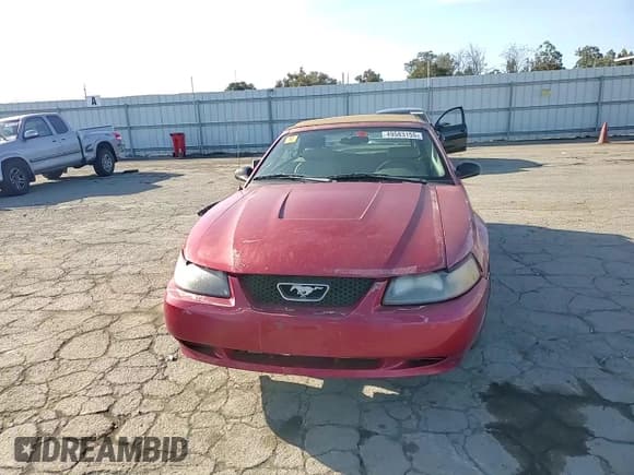 ✅ 2004 Ford Mustang Deluxe • VIN: 1FAFP44604F242565 • Lot: 49583155. Listed on Copart with Not provided. Free auction sales archive from the USA and detailed vehicle history report at DreamBid. Image 11.