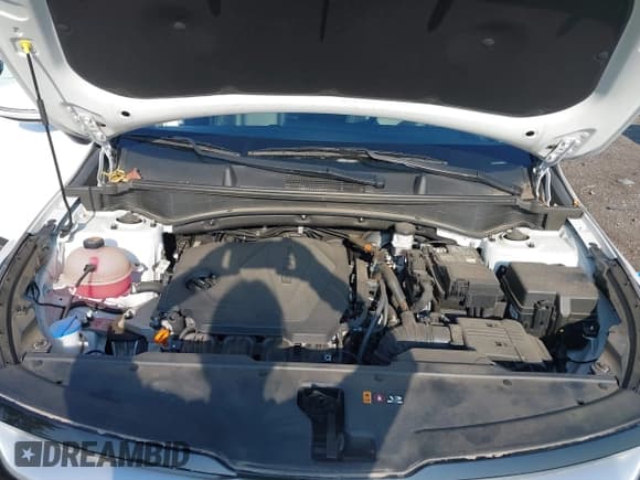 ✅ 2023 Kia Sportage EX • VIN: 5XYK3CAF7PG031349 • Lot: 43261460. Wystawiony na IAAI z przebiegiem 22 568 mil. Bezpłatny archiwum sprzedaży aukcyjnych z USA i szczegółowy raport historii pojazdu na DreamBid. Zdjęcie 10.