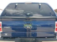 ✅ 2009 Ford F-150 XL • VIN: 1FTPW14V19FA44706 • Lot: 42530002. Listed on IAAI with 208,419 mi. Free auction sales archive from the USA and detailed vehicle history report at DreamBid. Image 15.