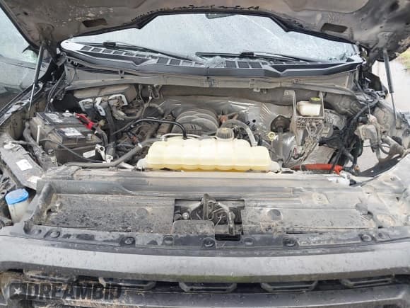 ✅ 2022 Ford F-150 XL • VIN: 1FTFW1E59NKD94094 • Lot: 42986486. Wystawiony na IAAI z przebiegiem 39 094 mil. Bezpłatny archiwum sprzedaży aukcyjnych z USA i szczegółowy raport historii pojazdu na DreamBid. Zdjęcie 10.