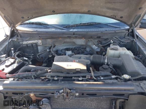 ✅ 2010 Ford F-150 XL • VIN: 1FTEX1EW7AFD37574 • Лот: 43583948. Опубликован ранее на IAAI с пробегом 134 682 миль. Бесплатный доступ к архиву аукционных продаж из США и подробный отчёт об истории автомобиля на DreamBid. Изображение 10.