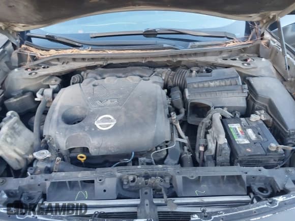 ✅ 2012 Nissan Maxima S • VIN: 1N4AA5AP3CC820866 • Lot: 43810047. Listed on IAAI with 210,821 mi. Free auction sales archive from the USA and detailed vehicle history report at DreamBid. Image 10.