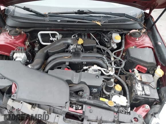 ✅ 2017 Subaru Outback Premium • VIN: 4S4BSACCXH3258952 • Lot: 43518976. Wystawiony na IAAI z przebiegiem 91 128 mil. Bezpłatny archiwum sprzedaży aukcyjnych z USA i szczegółowy raport historii pojazdu na DreamBid. Zdjęcie 10.