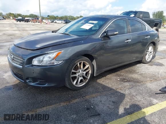 ✅ 2010 Nissan Maxima SV • VIN: 1N4AA5APXAC853196 • Лот: 43498886. Опубликован ранее на IAAI с пробегом 203 461 миль. Бесплатный доступ к архиву аукционных продаж из США и подробный отчёт об истории автомобиля на DreamBid. Изображение 2.