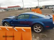 ✅ 2009 Ford Mustang GT • VIN: 1ZVHT82HX95120638 • Лот: 43538923. Опубликован ранее на IAAI с пробегом 102 516 миль. Бесплатный доступ к архиву аукционных продаж из США и подробный отчёт об истории автомобиля на DreamBid. Изображение 15.