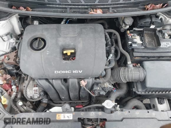 ✅ 2018 Kia Forte LX • VIN: 3KPFL4A79JE179071 • Лот: 43771306. Опубликован ранее на IAAI с пробегом 145 754 миль. Бесплатный доступ к архиву аукционных продаж из США и подробный отчёт об истории автомобиля на DreamBid. Изображение 10.