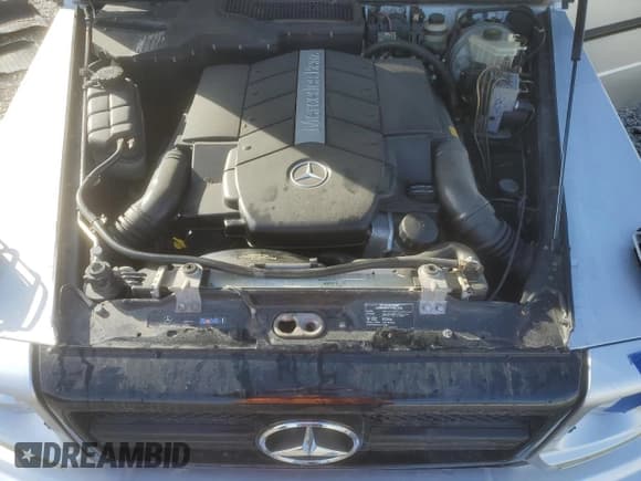 ✅ 2002 Mercedes-Benz G 500 • VIN: WDCYR49E12X133336 • Lot: 46146395. Wystawiony na Copart z przebiegiem 117 733 mil. Bezpłatny archiwum sprzedaży aukcyjnych z USA i szczegółowy raport historii pojazdu na DreamBid. Zdjęcie 13.