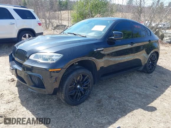 ✅ 2014 BMW X6 M • VIN: 5YMGZ0C53E0C40706 • Lot: 41893885. Wystawiony na IAAI z przebiegiem 133 348 mil. Bezpłatny archiwum sprzedaży aukcyjnych z USA i szczegółowy raport historii pojazdu na DreamBid. Zdjęcie 17.