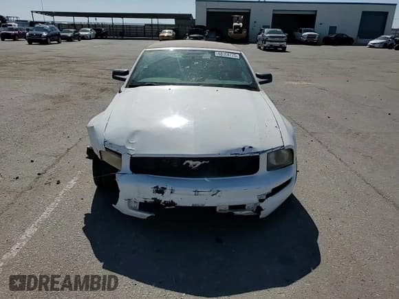 ✅ 2005 Ford Mustang Deluxe • VIN: 1ZVFT84N555219808 • Lot: 68108775. Listed on Copart with 162,359 mi. Free auction sales archive from the USA and detailed vehicle history report at DreamBid. Image 13.