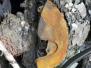 ✅ 2008 Porsche Cayman S Design Edition • VIN: WP0AB29808U780847 • Лот: 54415595. Опубликован ранее на Copart с пробегом Не указан. Бесплатный доступ к архиву аукционных продаж из США и подробный отчёт об истории автомобиля на DreamBid. Изображение 9.