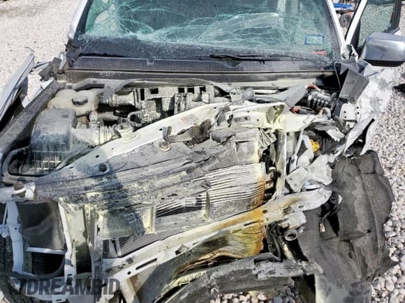 ✅ 2019 Chevrolet Colorado 2WD LT • VIN: 1GCGSCEN0K1124961 • Lot: 93608815. Listed on Copart with 27,659 mi. Free auction sales archive from the USA and detailed vehicle history report at DreamBid. Image 11.