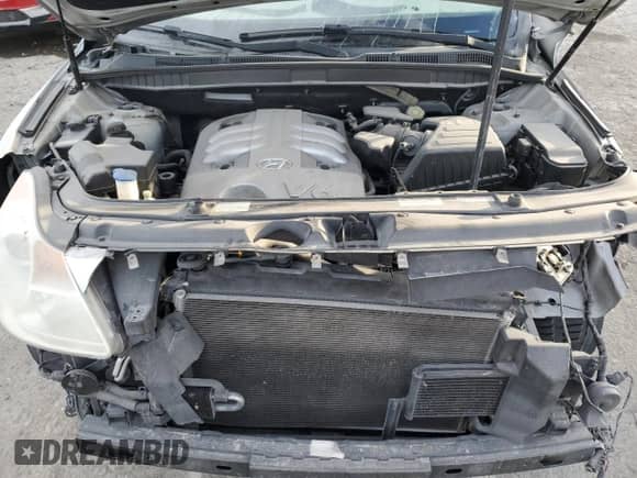 2007 Hyundai Veracruz GLS with VIN KM8NU13C77U024199, listed as a Copart auction lot 42988775 with 212,100 mi miles and Salvage title. Bid and sale history available at DreamBid. Image 13.