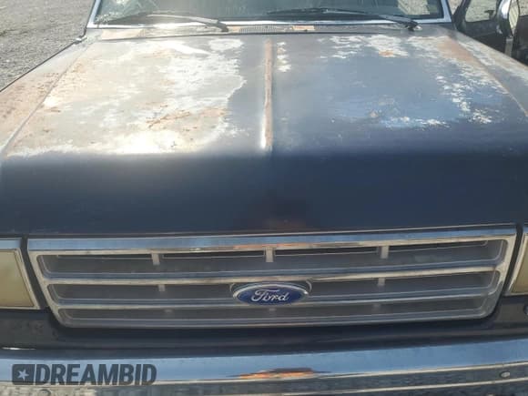 ✅ 1989 Ford F-150 • VIN: 1FTDF15Y9KPA46750 • Lot: 67835125. Wystawiony na Copart z przebiegiem 216 238 mil. Bezpłatny archiwum sprzedaży aukcyjnych z USA i szczegółowy raport historii pojazdu na DreamBid. Zdjęcie 11.