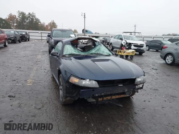✅ 2002 Ford Mustang Standard • VIN: 1FAFP40442F142518 • Lot: 43550203. Listed on IAAI with Not provided. Free auction sales archive from the USA and detailed vehicle history report at DreamBid. Image 1.
